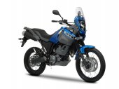 2009 Yamaha XT660Z Tenere photo